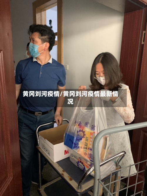 黄冈刘河疫情/黄冈刘河疫情最新情况-第2张图片