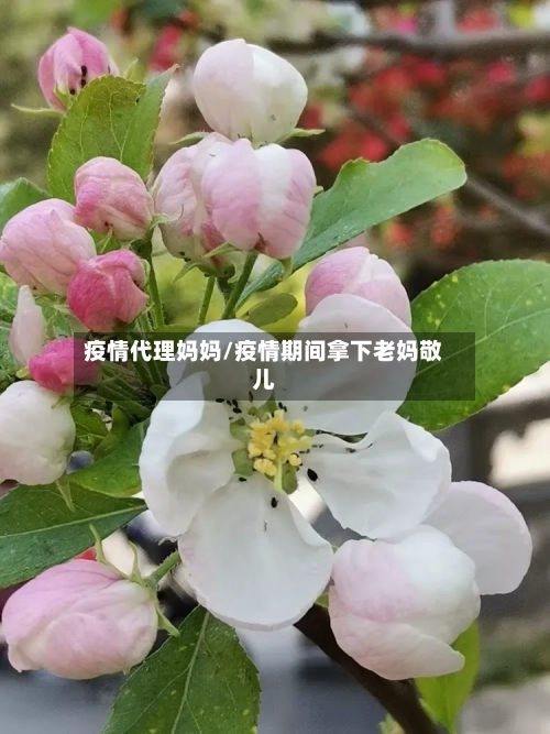 疫情代理妈妈/疫情期间拿下老妈敬儿-第3张图片