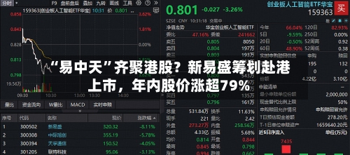 “易中天”齐聚港股？新易盛筹划赴港上市	，年内股价涨超79%-第2张图片