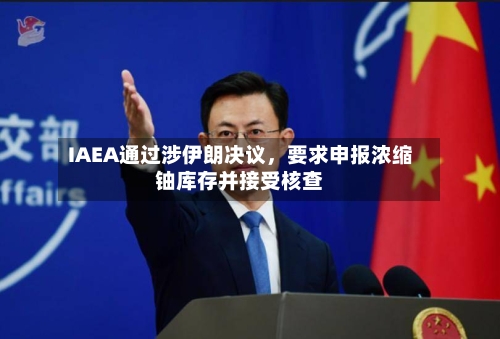 IAEA通过涉伊朗决议	，要求申报浓缩铀库存并接受核查-第2张图片