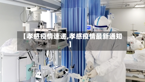 【孝感疫情速递,孝感疫情最新通知】-第2张图片