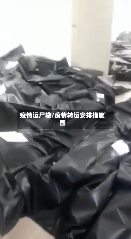 疫情运尸袋/疫情转运安排措施图-第2张图片