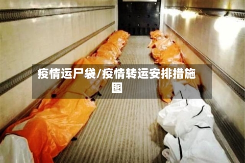 疫情运尸袋/疫情转运安排措施图-第3张图片