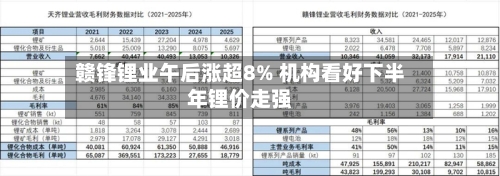 赣锋锂业午后涨超8% 机构看好下半年锂价走强