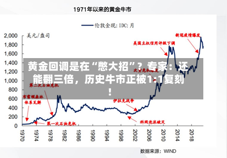 黄金回调是在“憋大招	”？专家：还能翻三倍	，历史牛市正被1:1复刻！-第2张图片