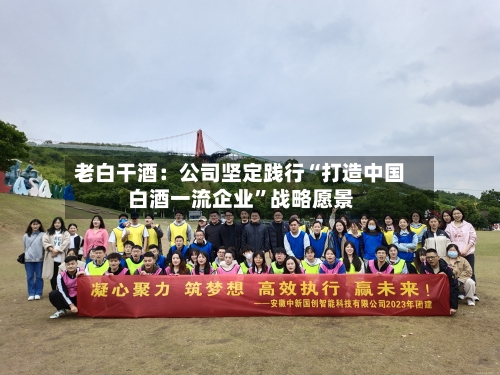 老白干酒：公司坚定践行“打造中国白酒一流企业	”战略愿景-第3张图片