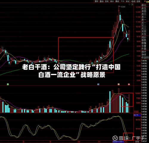 老白干酒：公司坚定践行“打造中国白酒一流企业”战略愿景