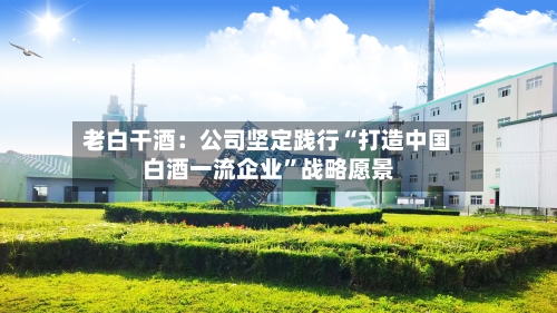 老白干酒：公司坚定践行“打造中国白酒一流企业”战略愿景-第2张图片