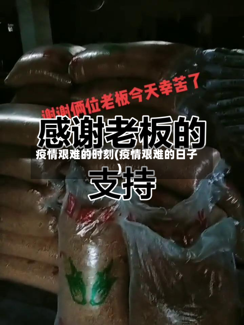 疫情艰难的时刻(疫情艰难的日子)-第3张图片