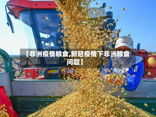 【非洲疫情粮食,新冠疫情下非洲粮食问题】