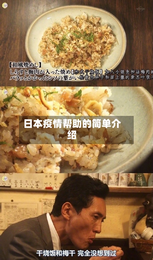 日本疫情帮助的简单介绍-第2张图片