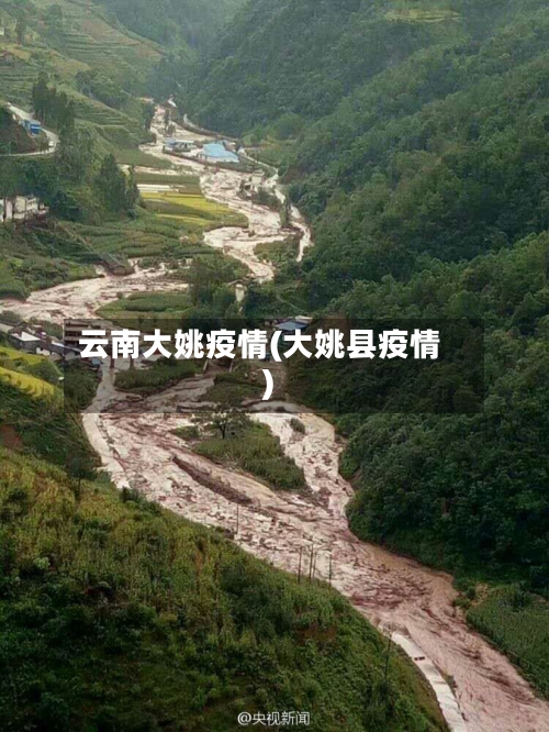 云南大姚疫情(大姚县疫情)