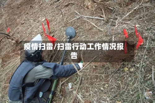 疫情扫雷/扫雷行动工作情况报告