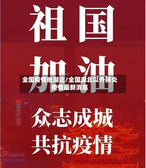 全国疫情地湖北/全国湖北以外肺炎疫情最新消息-第2张图片