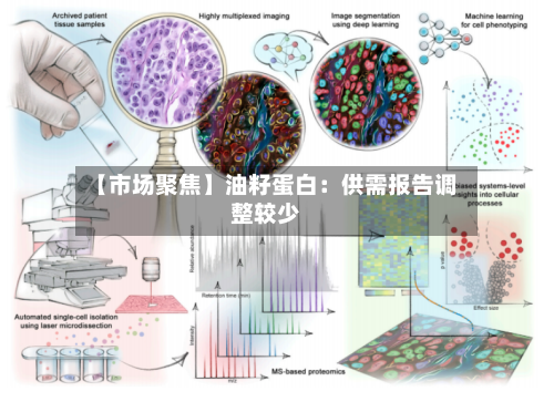 【市场聚焦】油籽蛋白：供需报告调整较少-第2张图片
