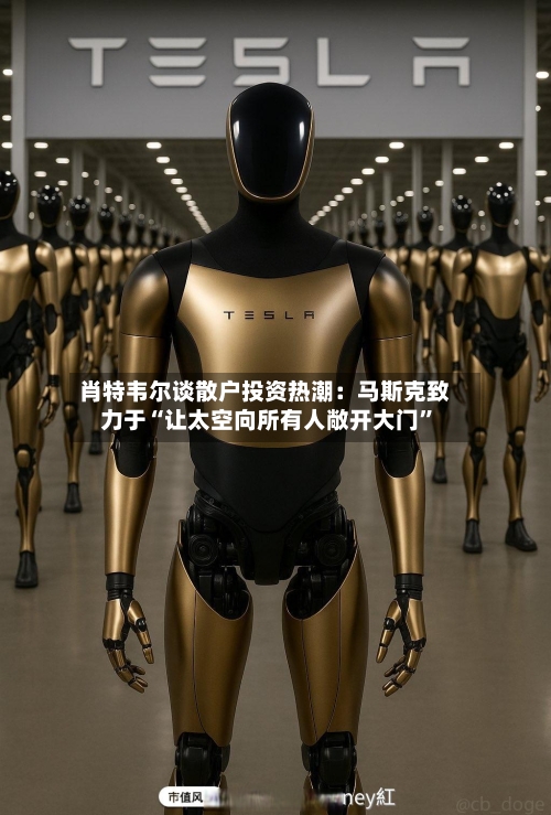 肖特韦尔谈散户投资热潮：马斯克致力于“让太空向所有人敞开大门	”-第2张图片