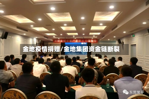 金地疫情捐赠/金地集团资金链断裂-第2张图片