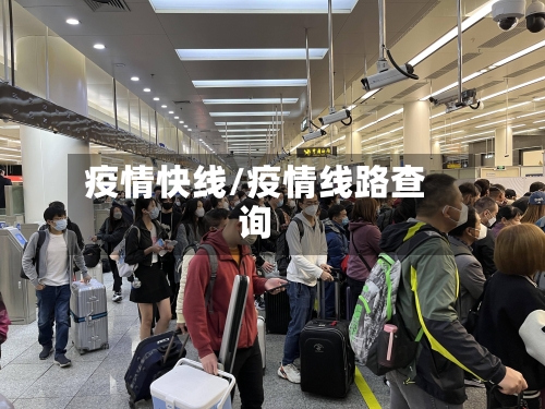 疫情快线/疫情线路查询