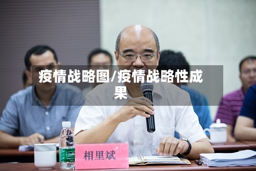 疫情战略图/疫情战略性成果-第2张图片