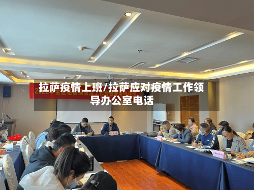 拉萨疫情上班/拉萨应对疫情工作领导办公室电话
