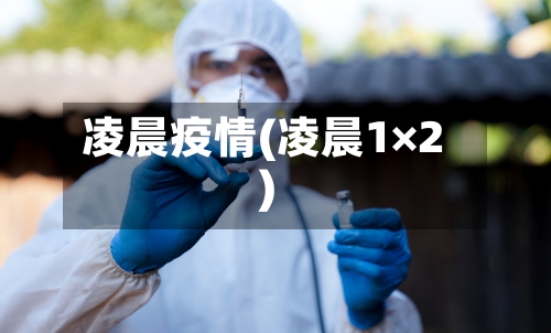 凌晨疫情(凌晨1×2)-第3张图片