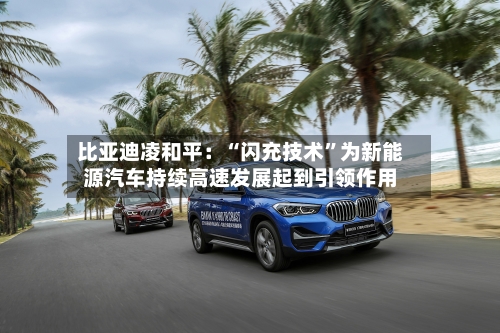 比亚迪凌和平：“闪充技术	”为新能源汽车持续高速发展起到引领作用-第3张图片