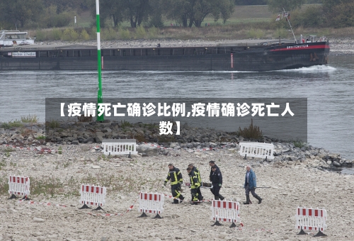 【疫情死亡确诊比例,疫情确诊死亡人数】-第2张图片