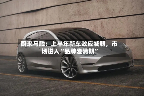 蔚来马麟：上半年新车效应减弱，市场进入“品牌澄清期”-第2张图片