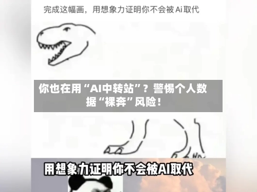 你也在用“AI中转站	”？警惕个人数据“裸奔”风险！-第3张图片