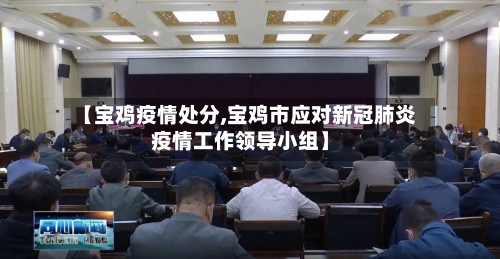【宝鸡疫情处分,宝鸡市应对新冠肺炎疫情工作领导小组】