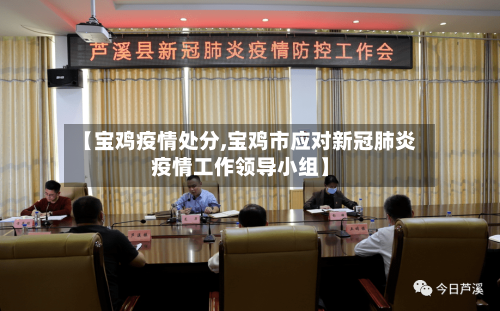 【宝鸡疫情处分,宝鸡市应对新冠肺炎疫情工作领导小组】-第3张图片
