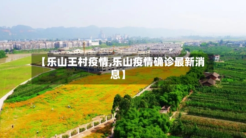 【乐山王村疫情,乐山疫情确诊最新消息】-第3张图片
