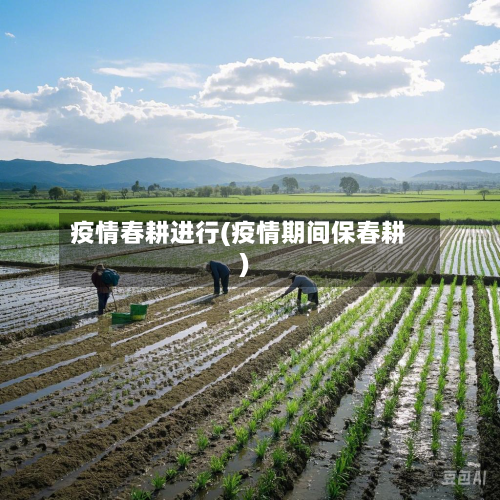 疫情春耕进行(疫情期间保春耕)-第3张图片
