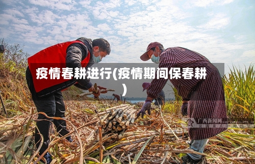 疫情春耕进行(疫情期间保春耕)-第2张图片