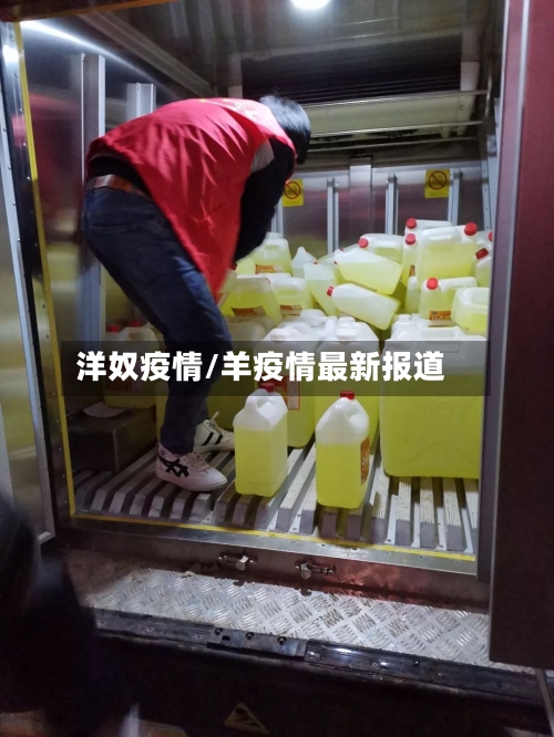 洋奴疫情/羊疫情最新报道