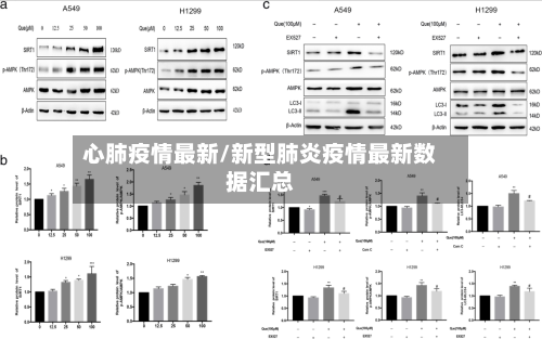 心肺疫情最新/新型肺炎疫情最新数据汇总-第2张图片