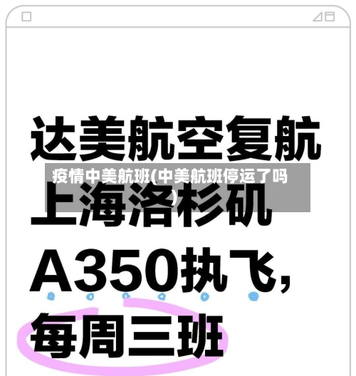 疫情中美航班(中美航班停运了吗)-第3张图片