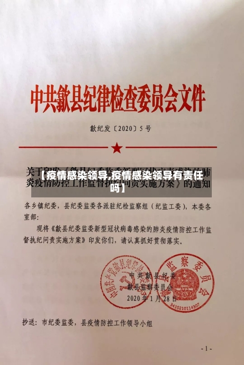 【疫情感染领导,疫情感染领导有责任吗】-第3张图片