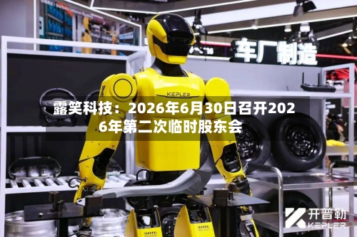 露笑科技：2026年6月30日召开2026年第二次临时股东会-第3张图片