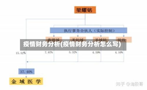 疫情财务分析(疫情财务分析怎么写)-第2张图片