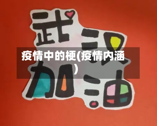 疫情中的梗(疫情内涵)