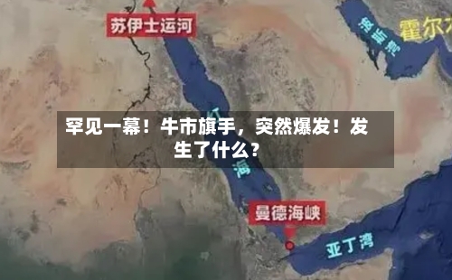 罕见一幕！牛市旗手，突然爆发！发生了什么？