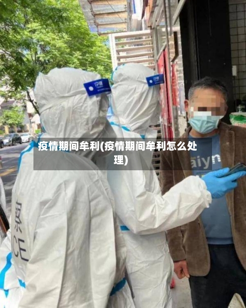 疫情期间牟利(疫情期间牟利怎么处理)-第3张图片