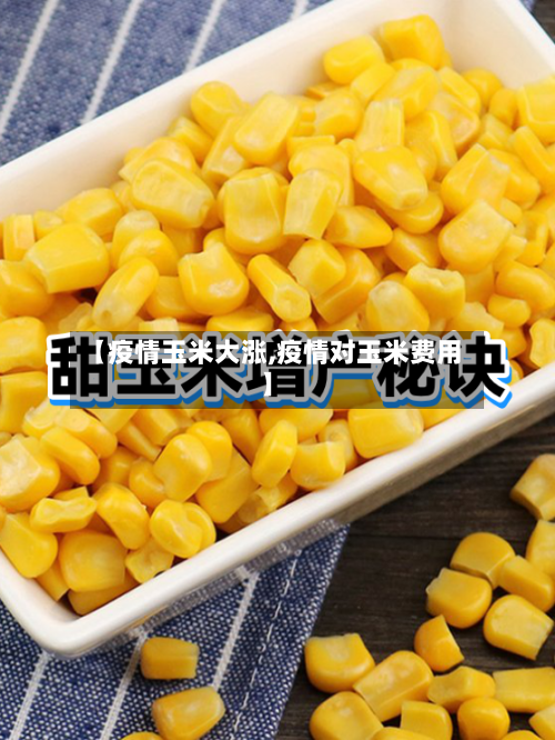 【疫情玉米大涨,疫情对玉米费用】-第3张图片