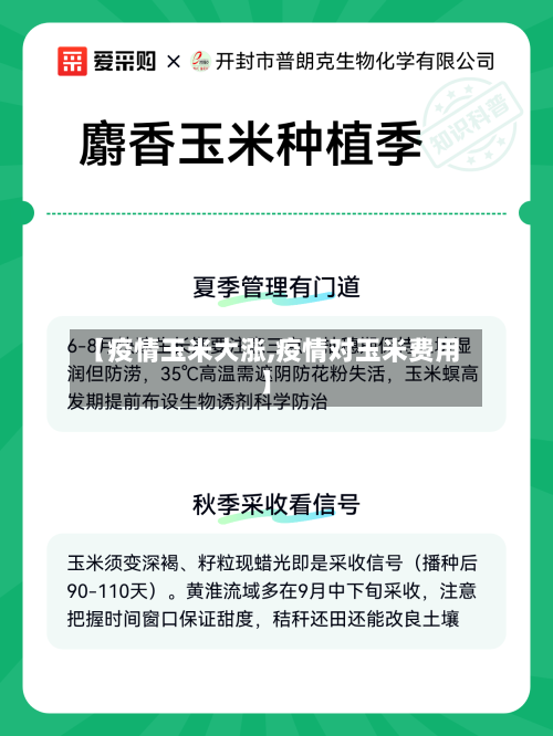 【疫情玉米大涨,疫情对玉米费用】
