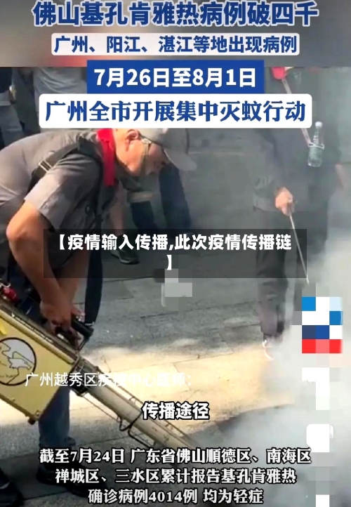 【疫情输入传播,此次疫情传播链】