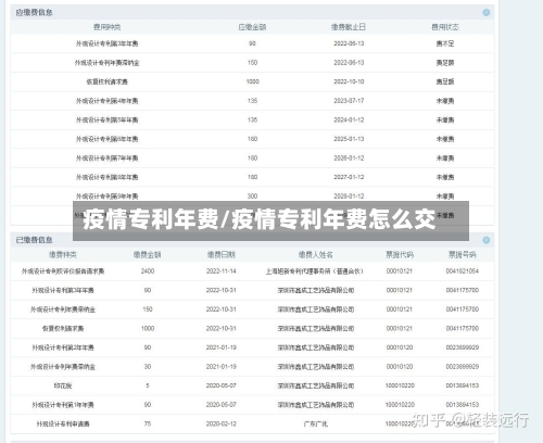 疫情专利年费/疫情专利年费怎么交