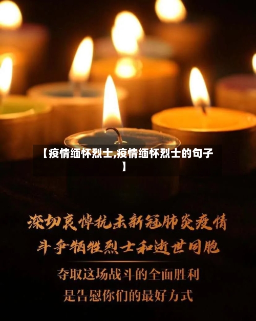 【疫情缅怀烈士,疫情缅怀烈士的句子】