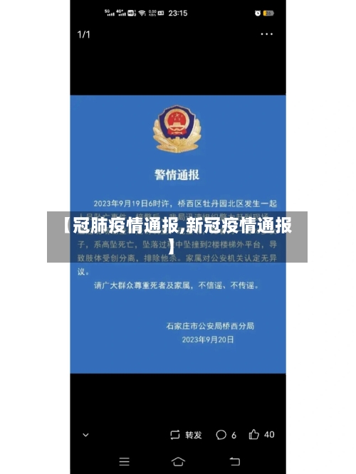 【冠肺疫情通报,新冠疫情通报】-第3张图片