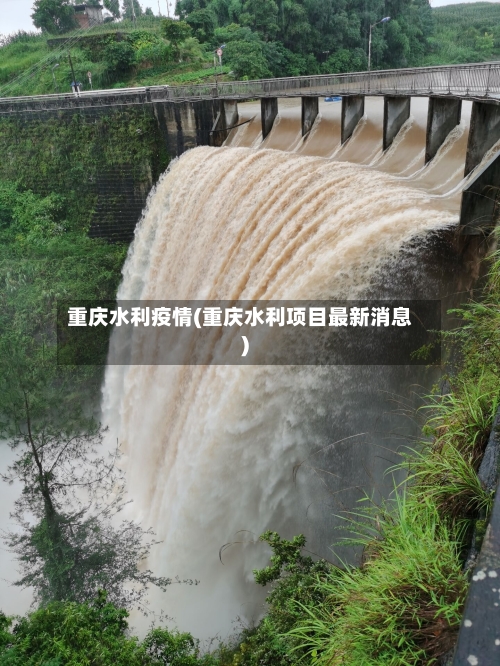 重庆水利疫情(重庆水利项目最新消息)-第2张图片